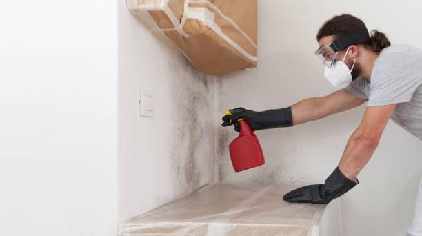 Professional Black Mold Removal technician working in Rumson, NJ
