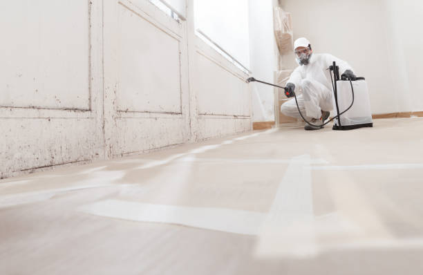 24/7 Emergency Black Mold Removal experts in Rumson, NJ