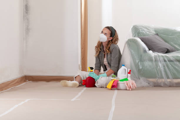 Reliable Black Mold Removal contractor in Rumson, NJ by WQB Mold Removal